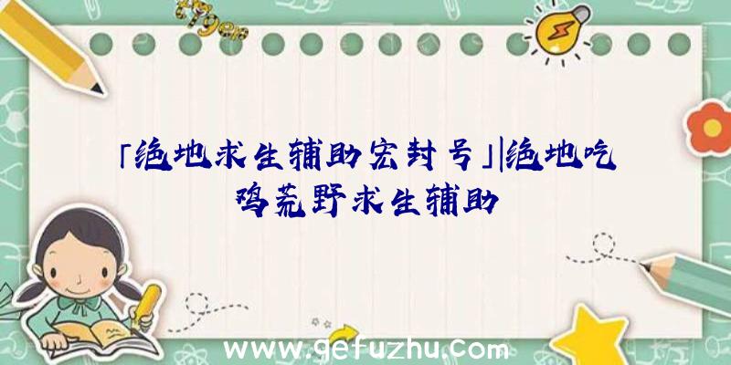 「绝地求生辅助宏封号」|绝地吃鸡荒野求生辅助